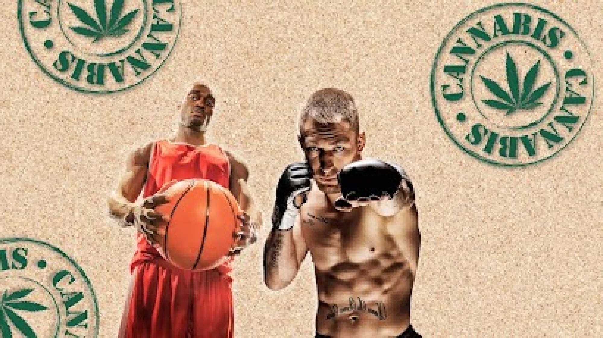 Cannabis não faz mais parte das substâncias proibidas no antidoping da NBA e da UFC